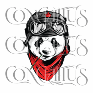 Panda Piloto - Imagem 3