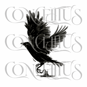 Corvo de Tinta Preta - Imagem 3