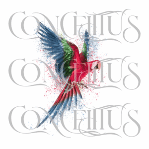 Papagaio Colorido em Gotas - Imagem 3